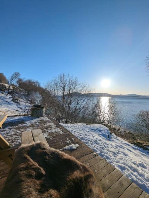Feriehus Senja - Charming By The Sea With Terrace And Fantastic View Finnsnes